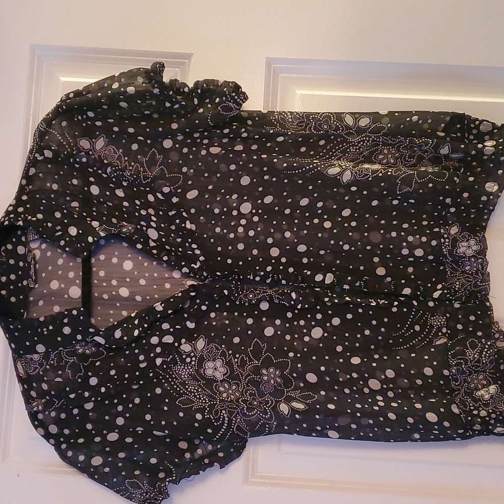 Sheer Blouse